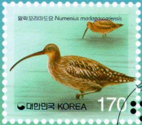Korean_Stamp-Australian_Curlew_J01-painting[1]