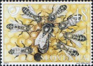 Krainer-honey-bee-Apis-meliferia-carnica-Queen[1]