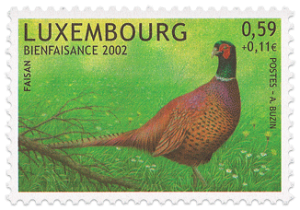LU_2002_TIM_BIENFAISANCE059[1]