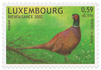 LU_2002_TIM_BIENFAISANCE059[1]