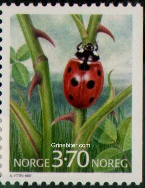 Ladybug[1]