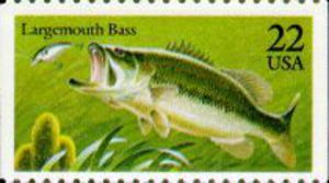 Largemouth-Bass[1]