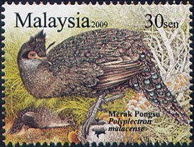 Malaysian Peacock-Pheasant Stamp