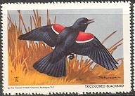 NWF1955-02[1]