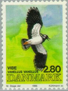 Northern-Lapwing-Peewit-Vanellus-vanellus