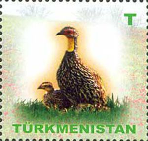 Partridge[1]