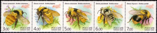 PhRusF-1266-70[1]