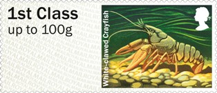 Post__Go_Rivers_Crayfish_stampj