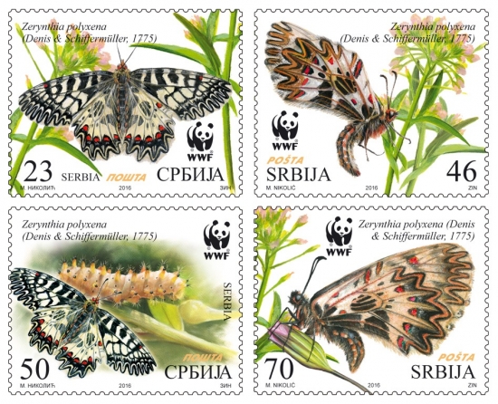 Protected-Animal-Species-Butterfly-Serbia-stamps-l-550x446
