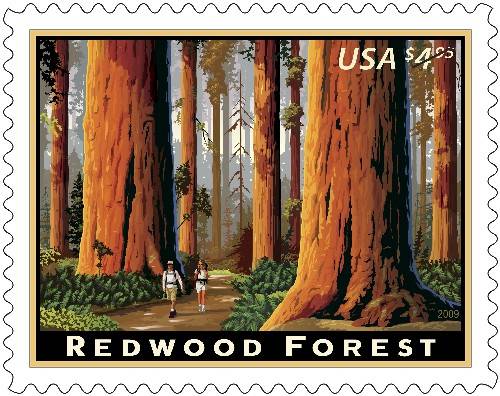 RedwoodGal[1]