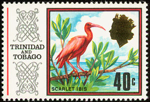 Scarlet-Ibis-Eudocimus-ruber