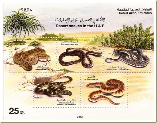 Snake_thumb8