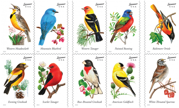 SongbirdsForever