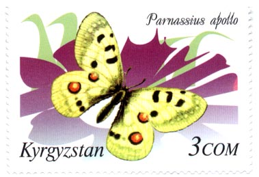 Stamp_of_Kyrgyzstan_214[1]