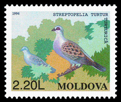 Stamp_of_Moldova_204[1]