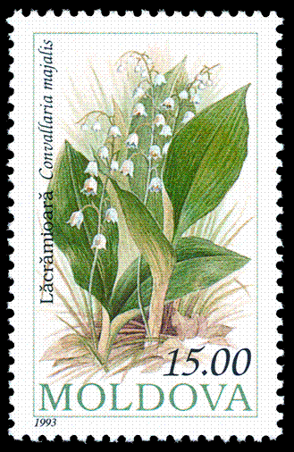 Stamp_of_Moldova_429[1]