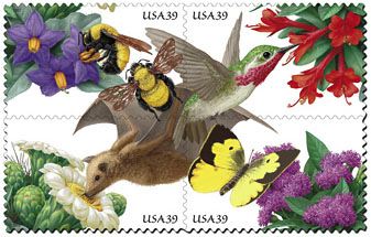 StampsPollinators01