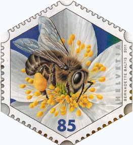 SwissHoneyBee[1]