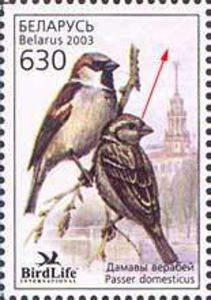 The-House-Sparrow---Bird-of-the-Year-2003[1]