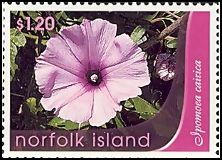 Weeds NI Set Mint 2007c_thumb[1][1]