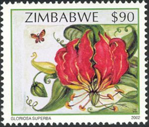 Wildflowers-of-Zimbabwe-Series-2---Flame-lily-Gloriosa-supe[1]