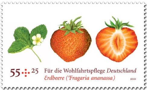 aardbei