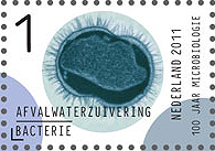 afvalwaterzuivering