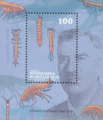 amphipods Karaman