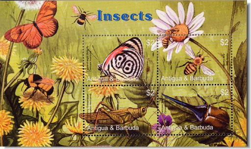 ant0516sh-insects4v[1]