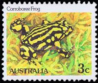 Australia is home to some unique critters, but it also has one of the highest extinction rates in the world