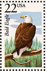 b eagle 5[1]