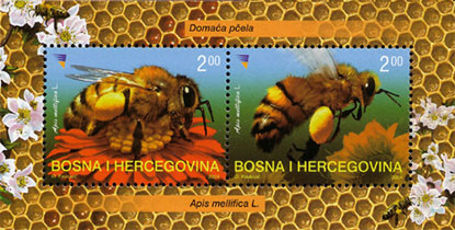 ba002210[1]