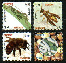 bangladesh_xx_insects_new_small[1]