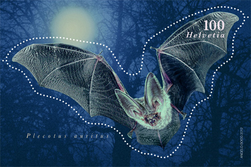 bat-switzerland-4