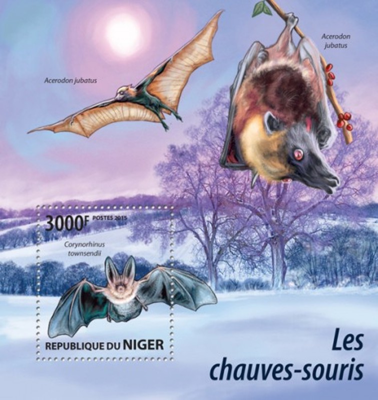 bats