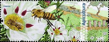 bee images