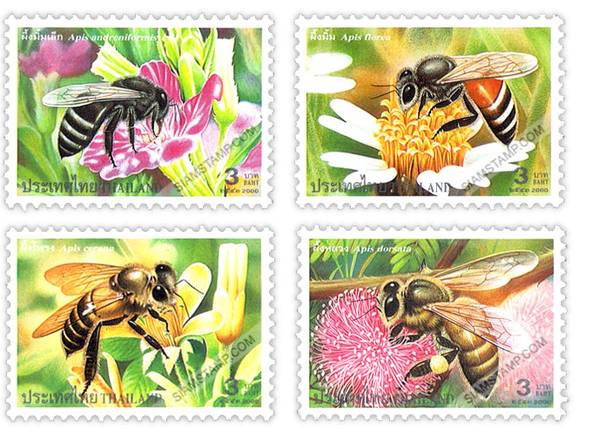 bee plants