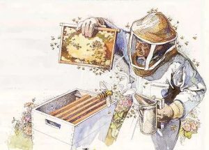 beekeeper-at-hive[1]