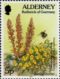 bees