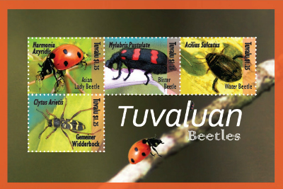 beetles