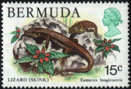 bermuda-5[1]