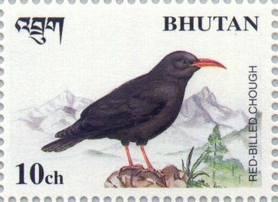 bhutan , pyrrhocorax pyrrhocorax[1]