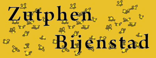 bijen2[1]