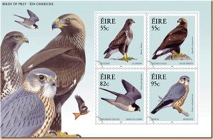 birds of prey