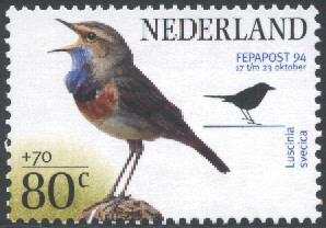 blauwborstje[1]