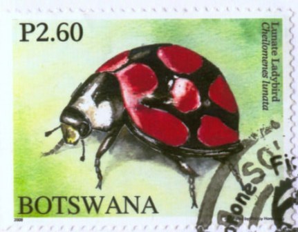 botswana-2[1]