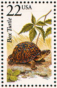 box turtle