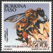 briefm163[1]