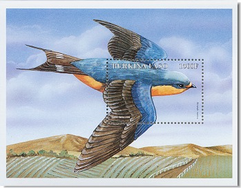 bur9815ss2swallow[1]