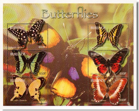 butterflies6